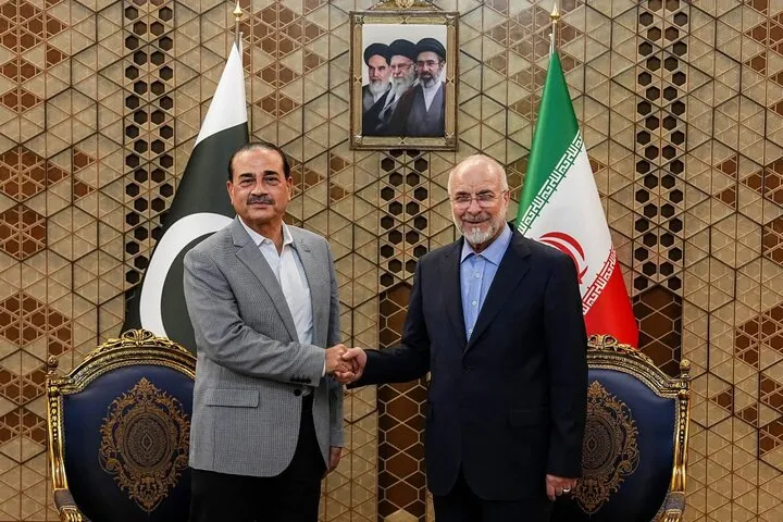 دیدار عاصم منیر با قالیباف رئیس مجلس دیدار عاصم منیر با قالیباف رئیس مجلس
