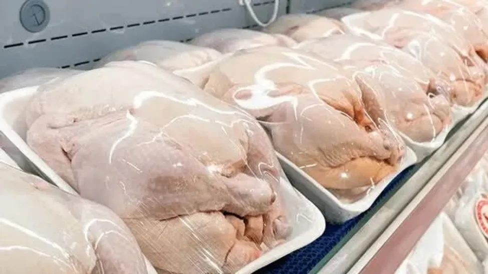 ماجرای ۲۰۰۰ تن مرغ تاریخ گذشته در تهران چه بود؟/ مصرف خانگی گوشت بوفالو مجاز است