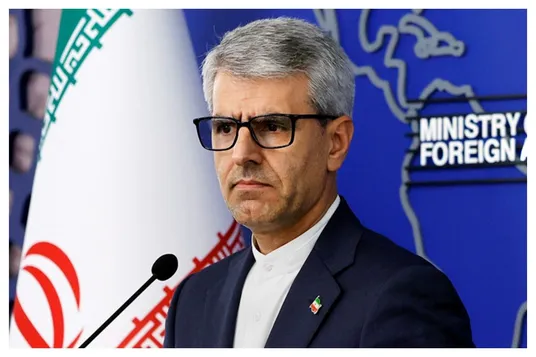 بقایی: فرض ما بر اسارت خلبانان‌ است/دو دیپلمات فرانسوی ایران را ترک کردند