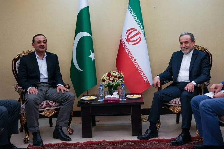 دیدار عاصم منیر با عراقچی وزیر امور خارجه دیدار عاصم منیر با عراقچی وزیر امور خارجه